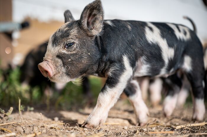 39 Times Parents Inflicted Emotional Damage On Their Kids With The Stupid Stuff They Told Them 