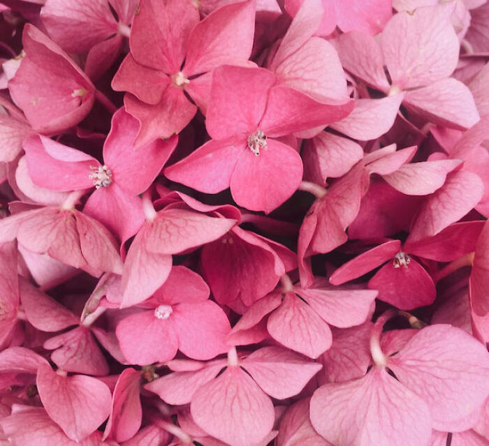 50 “Stupid Facts” That Sound Fake But Are Genuinely Real