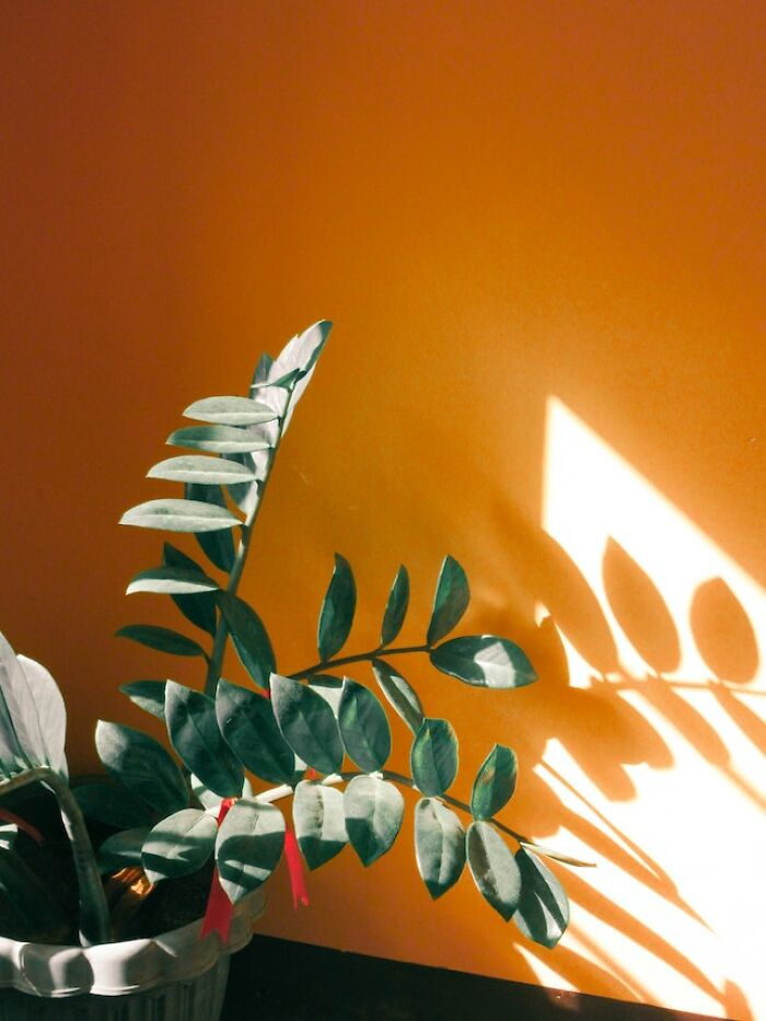 50 “Stupid Facts” That Sound Fake But Are Genuinely Real