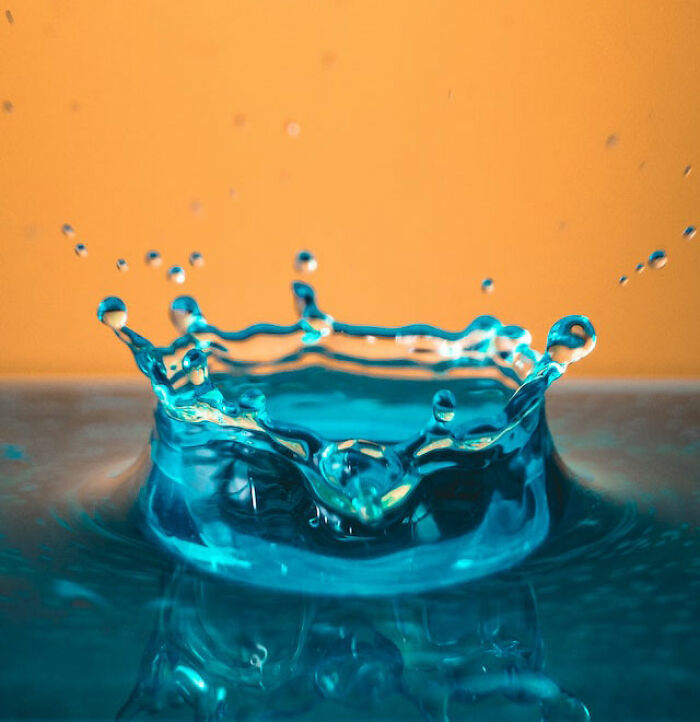 50 “Stupid Facts” That Sound Fake But Are Genuinely Real