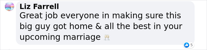 Bachelor Party Takes Unexpected Twist When They Hear Dog Barking In The Mud