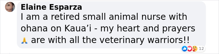 Hope Among Ashes As Maui Community Unites In Helping Wildlife Impacted By Fire