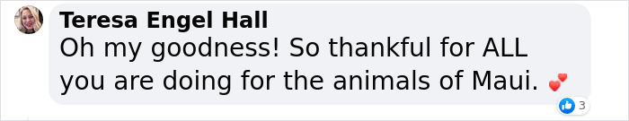 Hope Among Ashes As Maui Community Unites In Helping Wildlife Impacted By Fire