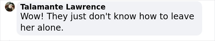 Britney Spears Gets Slammed By PETA After Sharing News Of Her Dog Snow