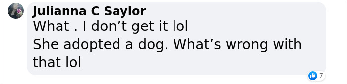 Britney Spears Gets Slammed By PETA After Sharing News Of Her Dog Snow