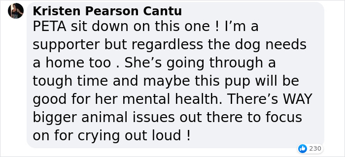 Britney Spears Gets Slammed By PETA After Sharing News Of Her Dog Snow