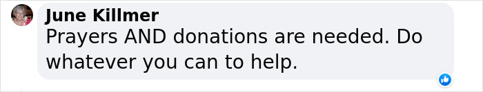 Hope Among Ashes As Maui Community Unites In Helping Wildlife Impacted By Fire