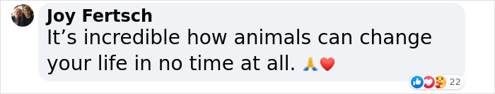 Guy Never Wanted A Dog, Now He Goes All Out For Their Birthday Pawties