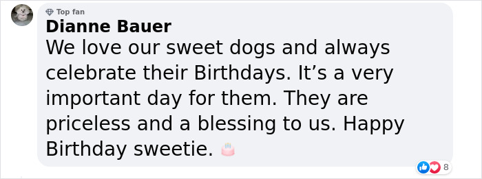 Guy Never Wanted A Dog, Now He Goes All Out For Their Birthday Pawties