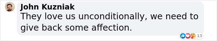 Guy Never Wanted A Dog, Now He Goes All Out For Their Birthday Pawties