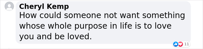 Guy Never Wanted A Dog, Now He Goes All Out For Their Birthday Pawties