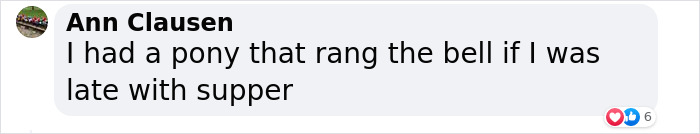 Bishop Palace Swans Ring The Palace Bells Whenever They Want Treats