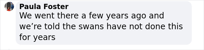 Bishop Palace Swans Ring The Palace Bells Whenever They Want Treats