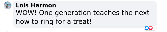 Bishop Palace Swans Ring The Palace Bells Whenever They Want Treats