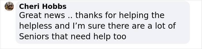 Hope Among Ashes As Maui Community Unites In Helping Wildlife Impacted By Fire