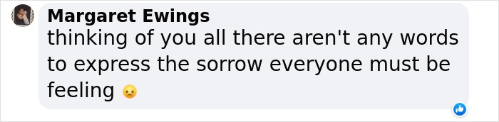 Hope Among Ashes As Maui Community Unites In Helping Wildlife Impacted By Fire