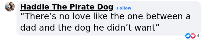 Guy Never Wanted A Dog, Now He Goes All Out For Their Birthday Pawties