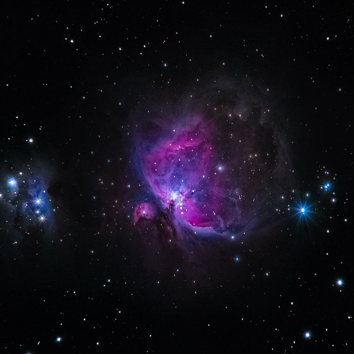 Random Facts That Will Make You Say “Wait, What?”