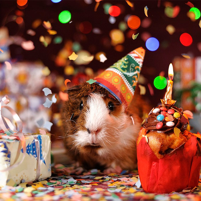 Random Facts That Will Make You Say “Wait, What?”