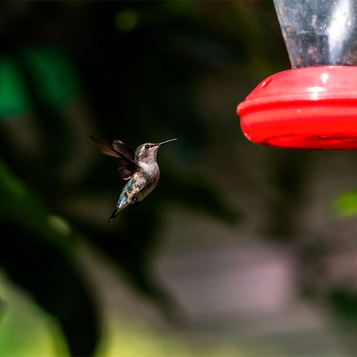 Random Facts That Will Make You Say “Wait, What?”