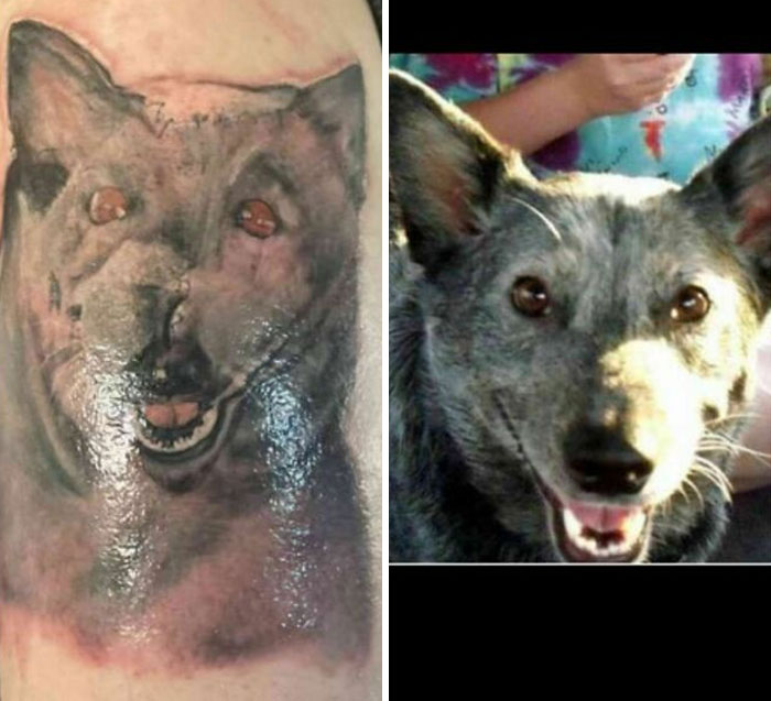 Botched tattoo of a dog next to the original photo, highlighting a need for better tattoo artist research.