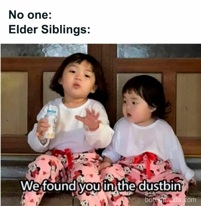 Two toddlers in matching pajamas, with text about elder siblings, highlighting a hilarious meme about life.