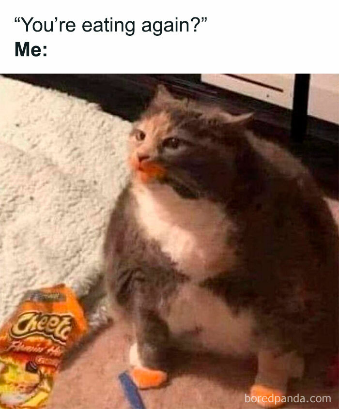 Relatable-Memes-Hilarioustextx