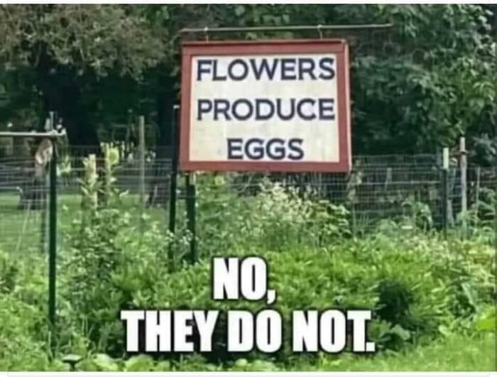 Funny-Science-Humor-Jokes