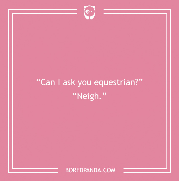 142 Hay-larious Horse Puns to Giddyup with Laughter