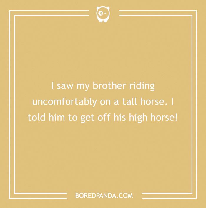 142 Hay-larious Horse Puns to Giddyup with Laughter