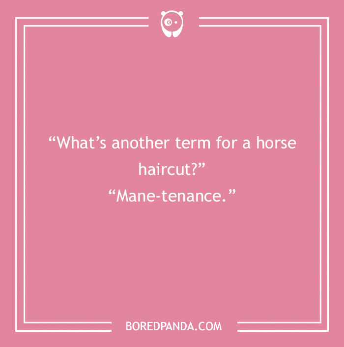 142 Hay-larious Horse Puns to Giddyup with Laughter