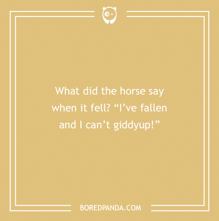 142 Hay-larious Horse Puns to Giddyup with Laughter