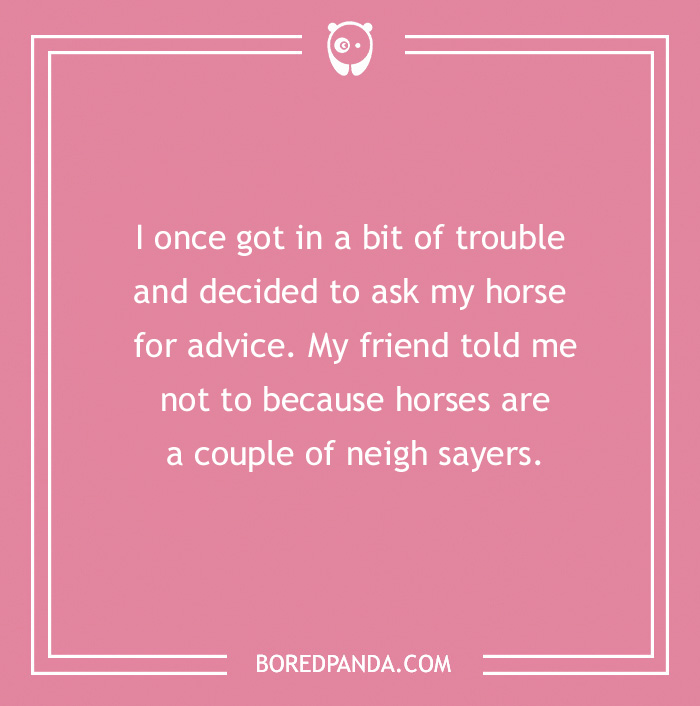 142 Hay-larious Horse Puns to Giddyup with Laughter