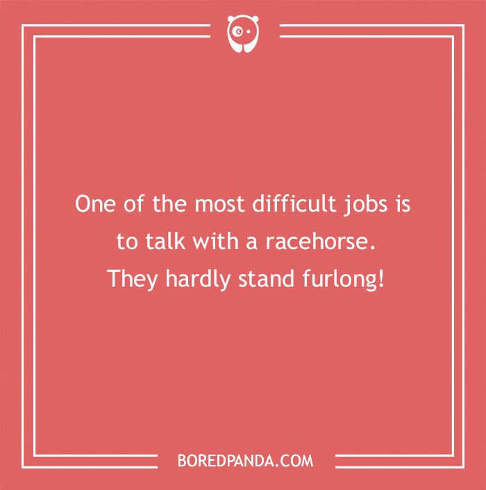 142 Hay-larious Horse Puns to Giddyup with Laughter