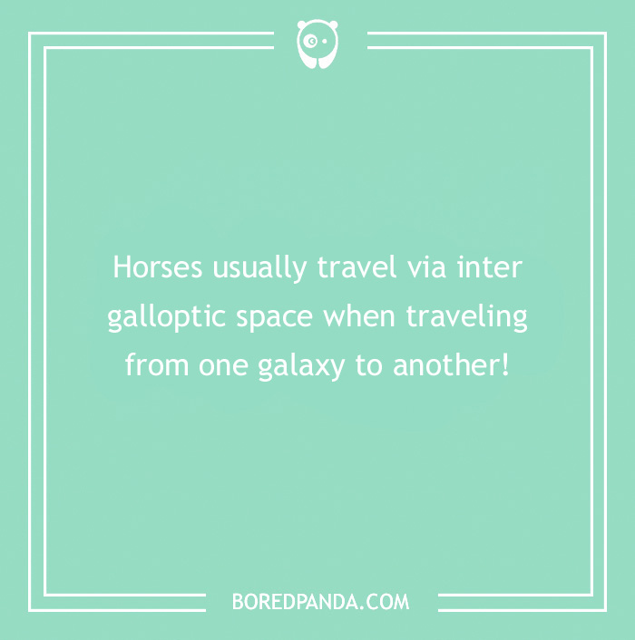 142 Hay-larious Horse Puns to Giddyup with Laughter