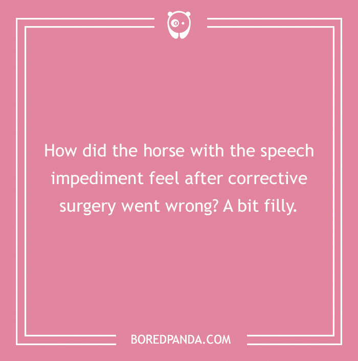 142 Hay-larious Horse Puns to Giddyup with Laughter