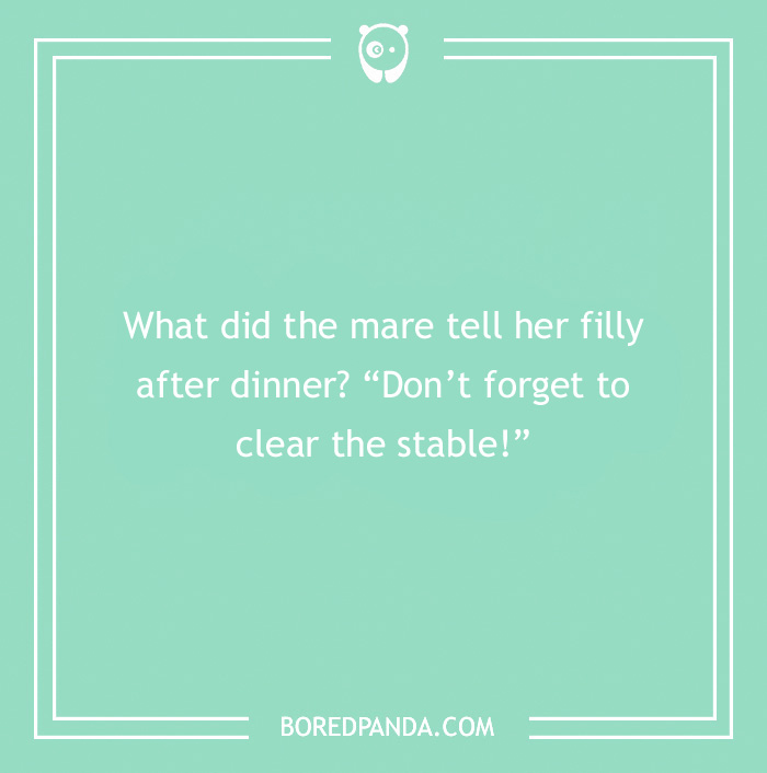 142 Hay-larious Horse Puns to Giddyup with Laughter