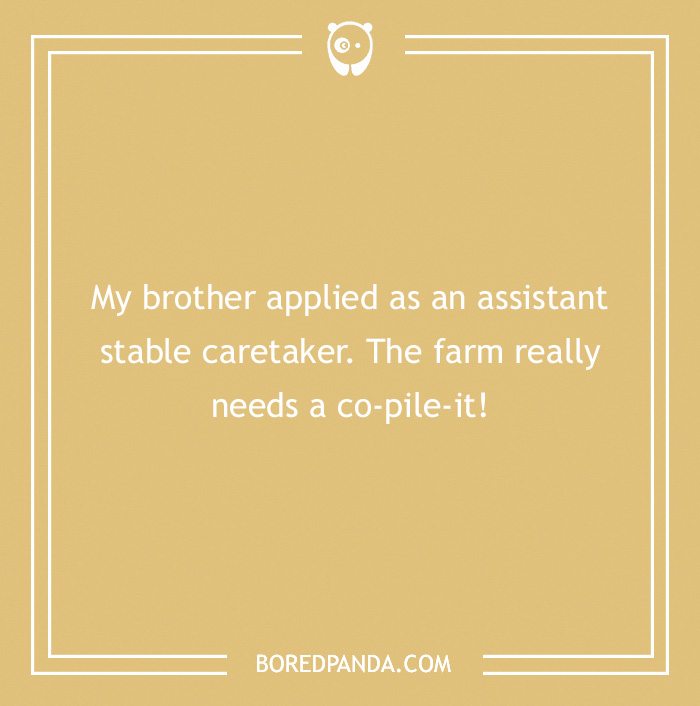 142 Hay-larious Horse Puns to Giddyup with Laughter