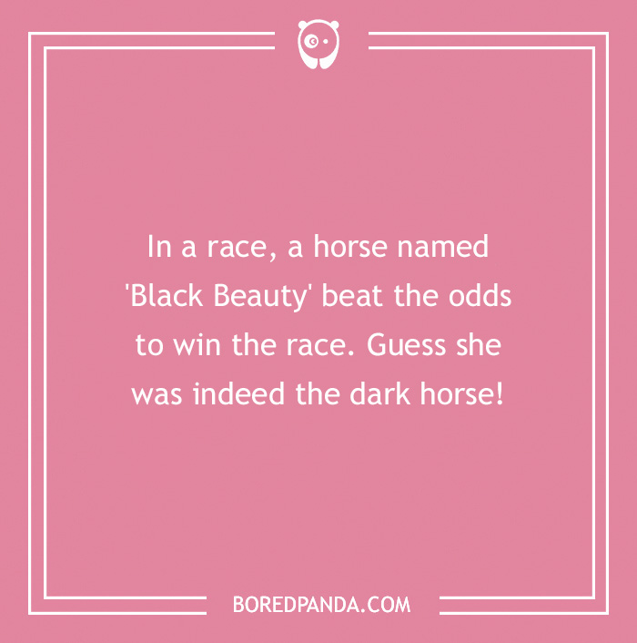 142 Hay-larious Horse Puns to Giddyup with Laughter