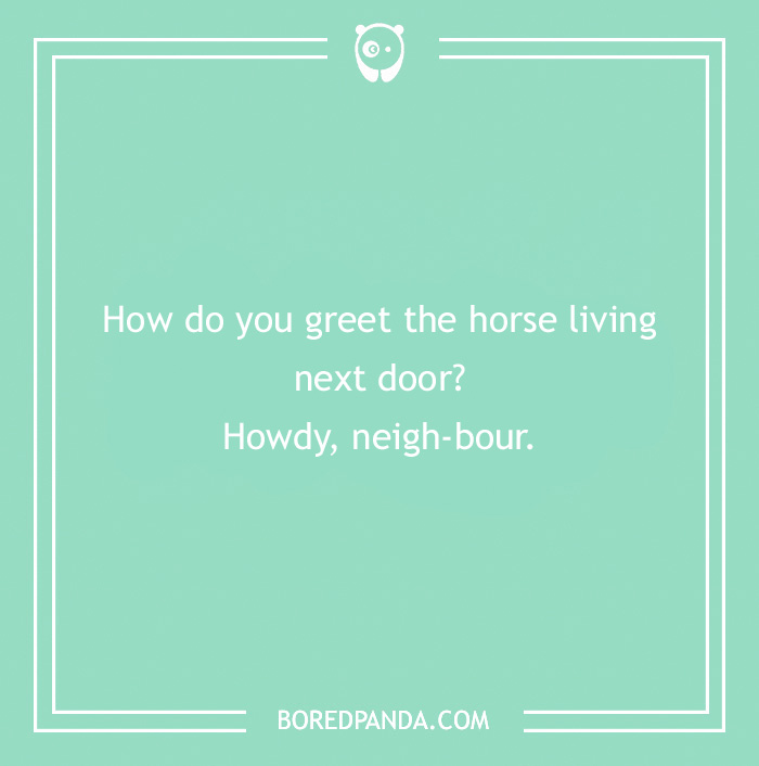 142 Hay-larious Horse Puns to Giddyup with Laughter