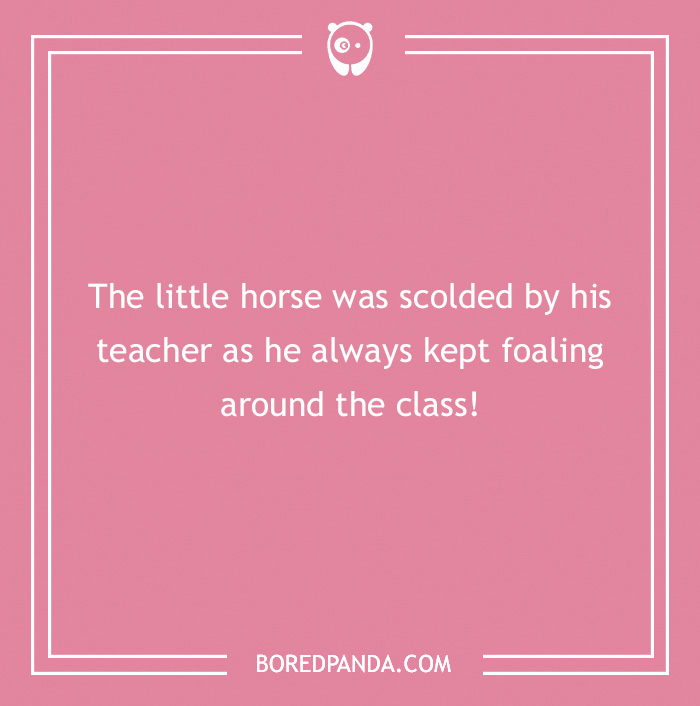 142 Hay-larious Horse Puns to Giddyup with Laughter