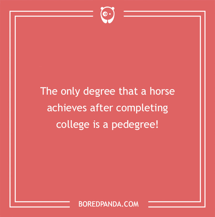 142 Hay-larious Horse Puns to Giddyup with Laughter