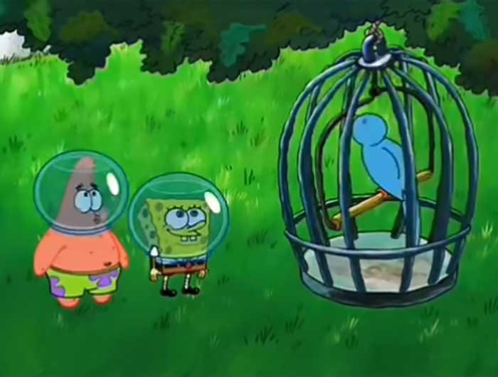 Patrick whistling to a bird while SpongeBob stands nearby wearing helmets in a scene with iconic SpongeBob quotes.