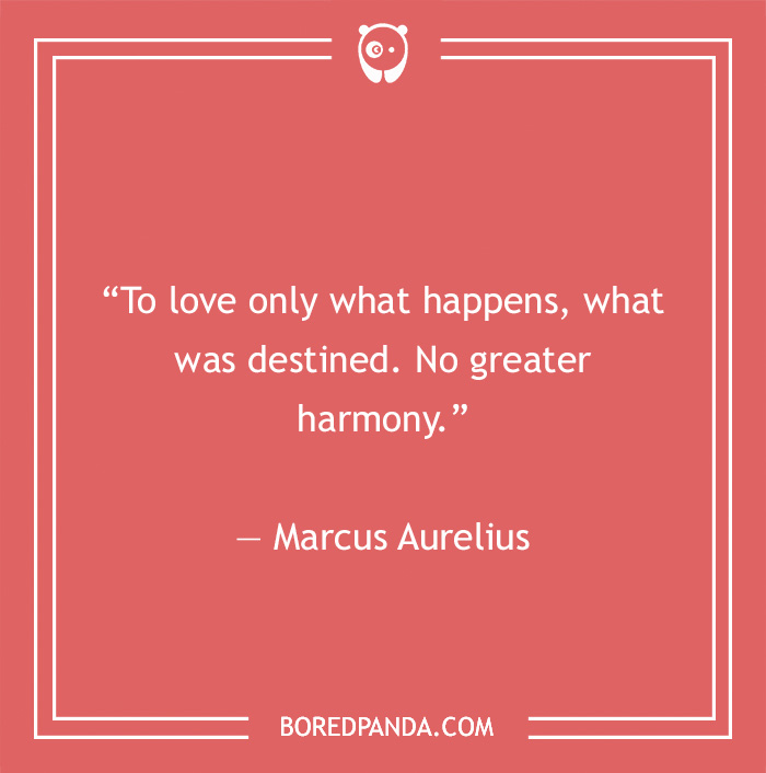 Marcus Aurelius quote on love - 31
