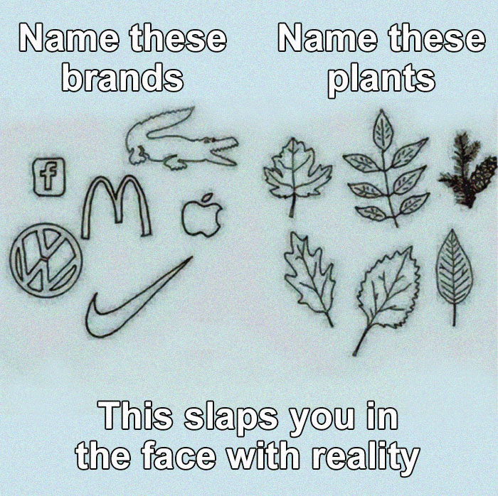 We Live In A Society