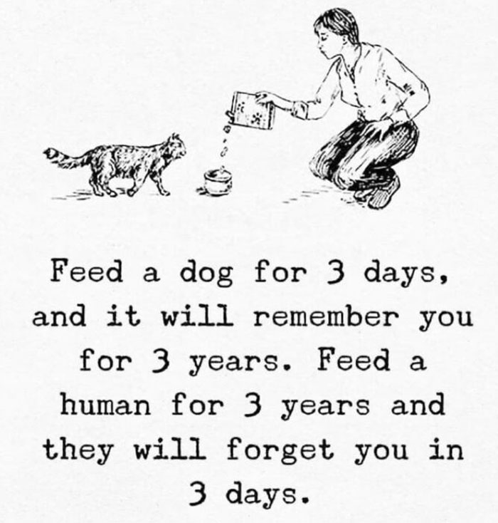 Pretty Sure That's A Cat