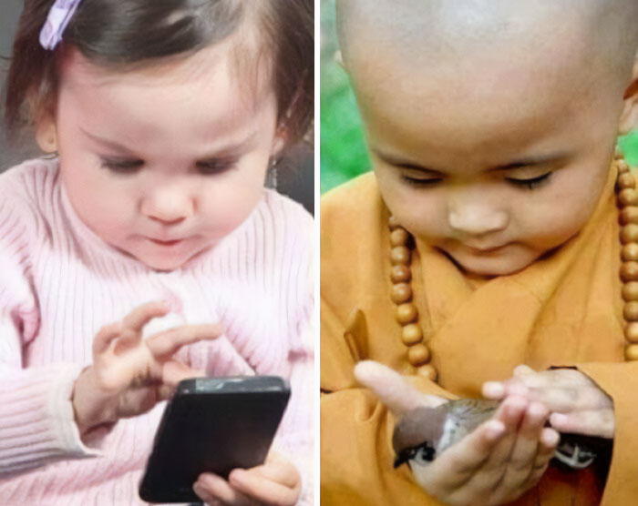 A Friend Posted This Unironically On Facebook. Cellphone Bad And Bird Good I Guess