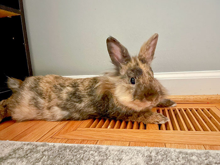 Heatwave... Gotta Stay Cool