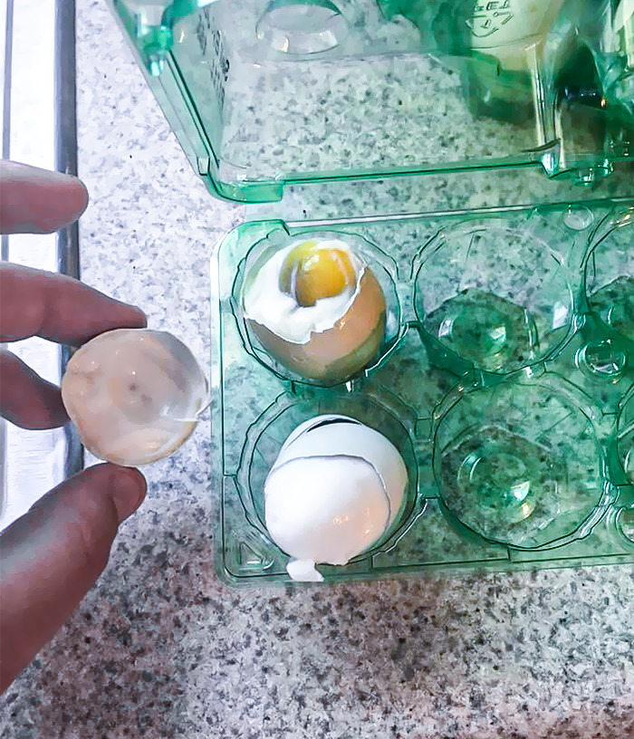 So Hot In Arizona That Before Bringing Chicken Eggs Inside, They Had Already Started To "Hard Boil"