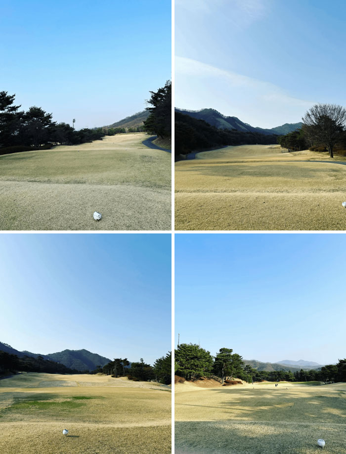 Bit Of A Dry Turf Than Usual, The Summer Heatwave Without Sprinklers Around Really Has A Huge Impact